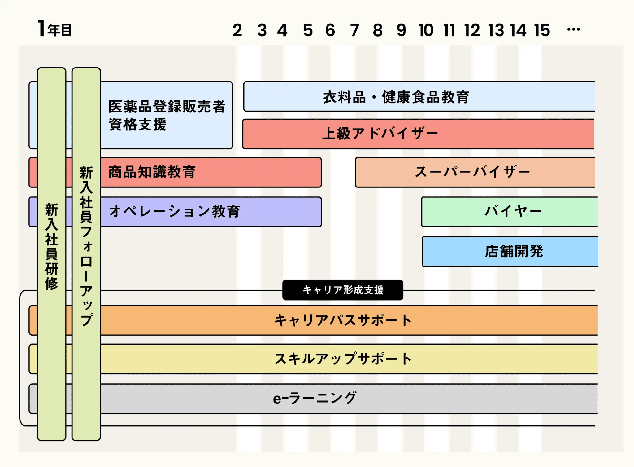 研修制度イメージ